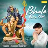 About Bhole Tere Siva Song